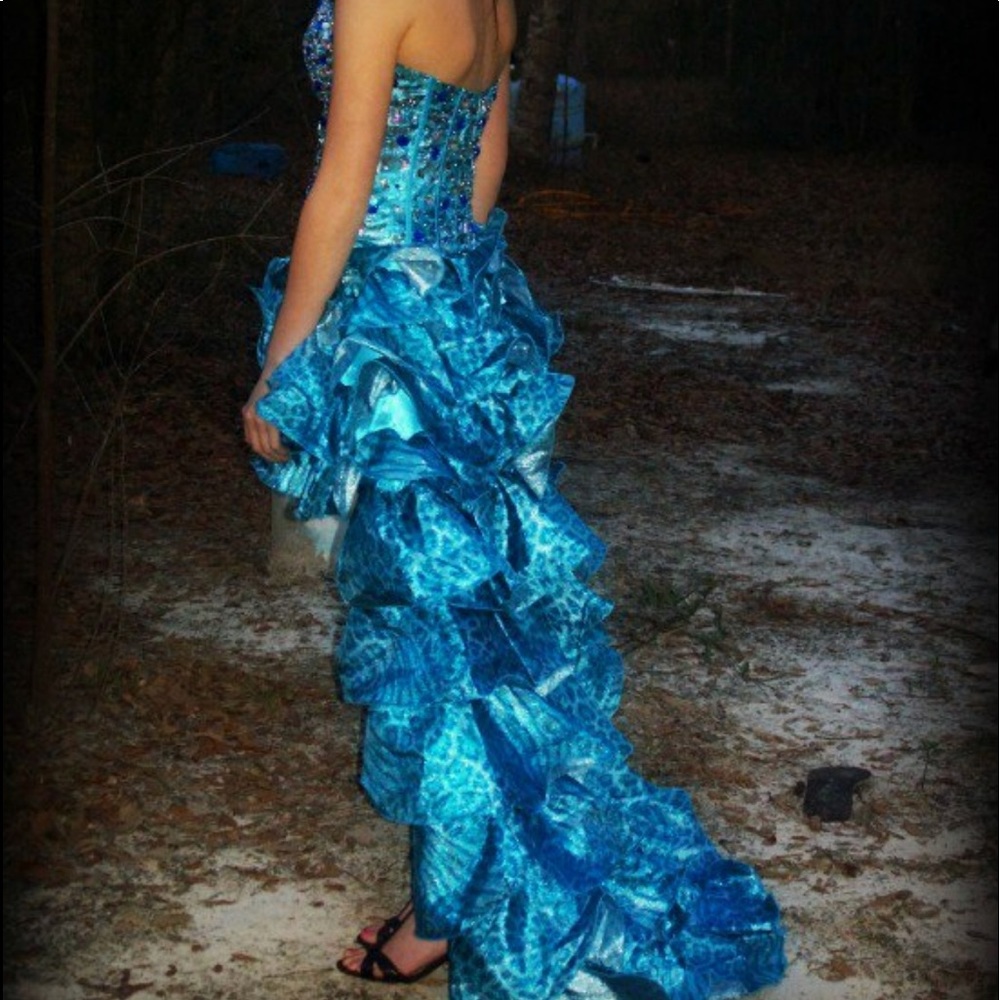 Alyce Paris Dress